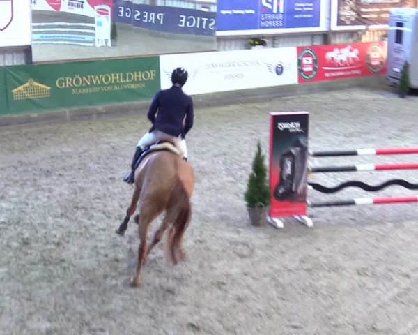 5. Nordic Jumping event Negernbötel 2024