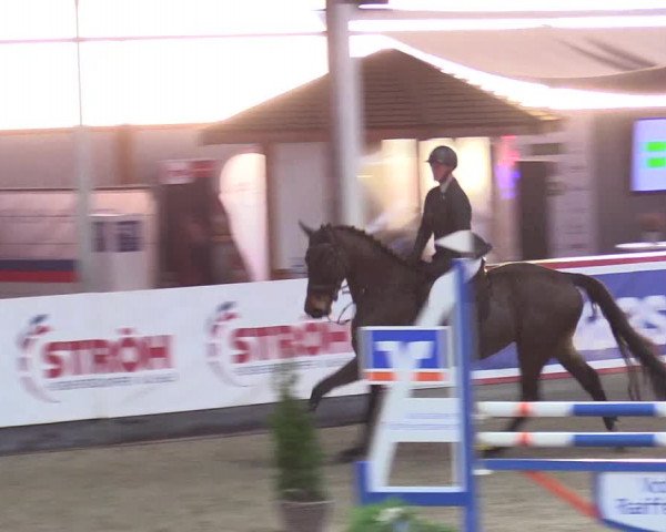 5. Nordic Jumping event Negernbötel 2024