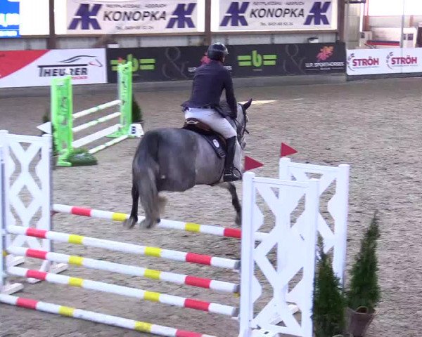 5. Nordic Jumping event Negernbötel 2024