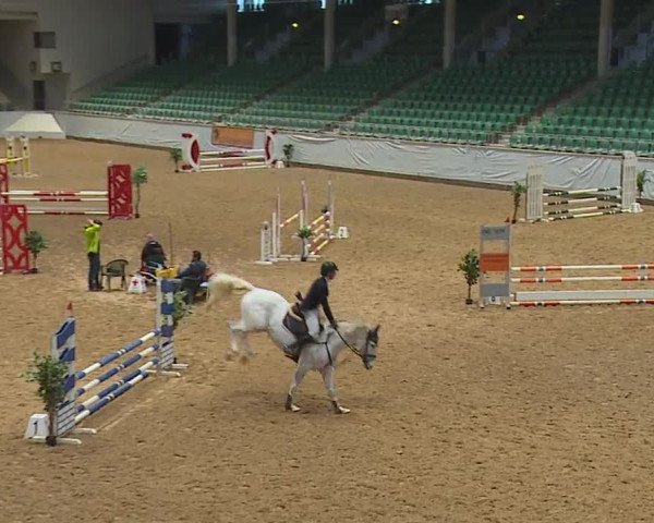 Reitturnier Kreuth/Opf. 2024