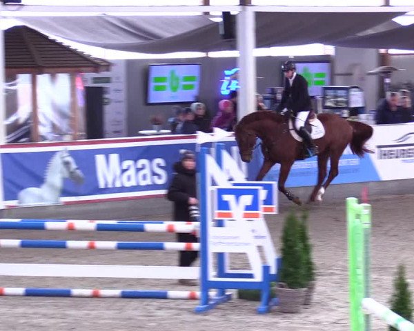 5. Nordic Jumping event Negernbötel 2024