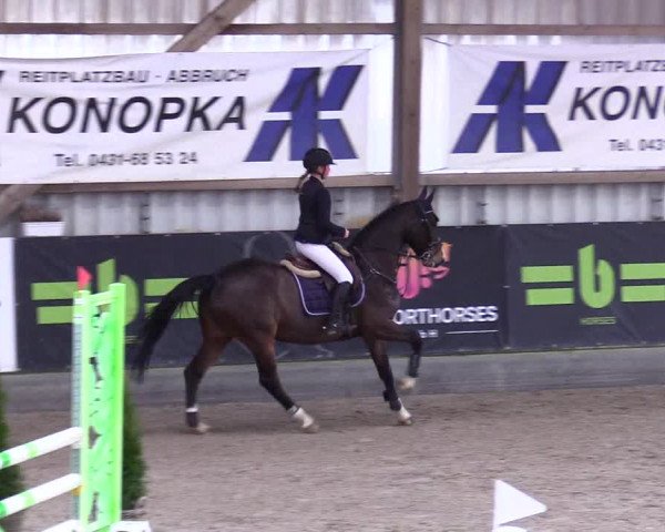 5. Nordic Jumping event Negernbötel 2024