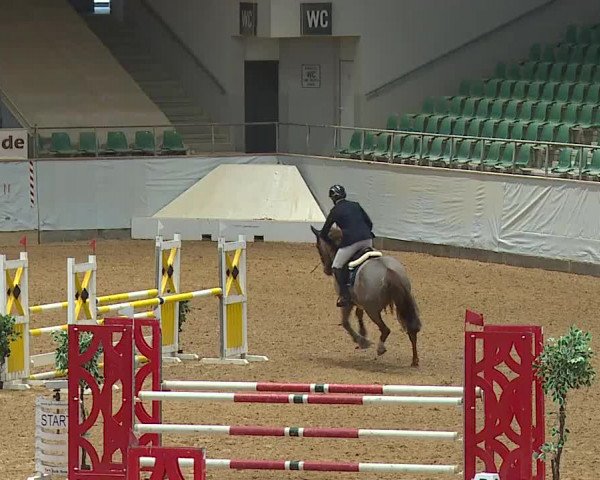 Reitturnier Kreuth/Opf. 2024