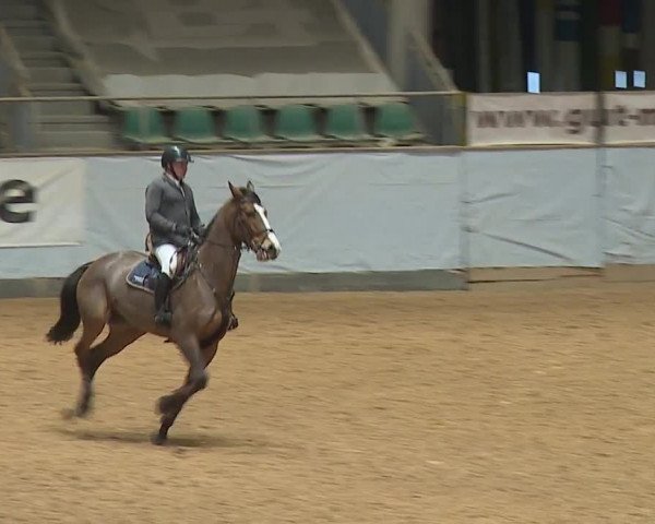 Reitturnier Kreuth/Opf. 2024