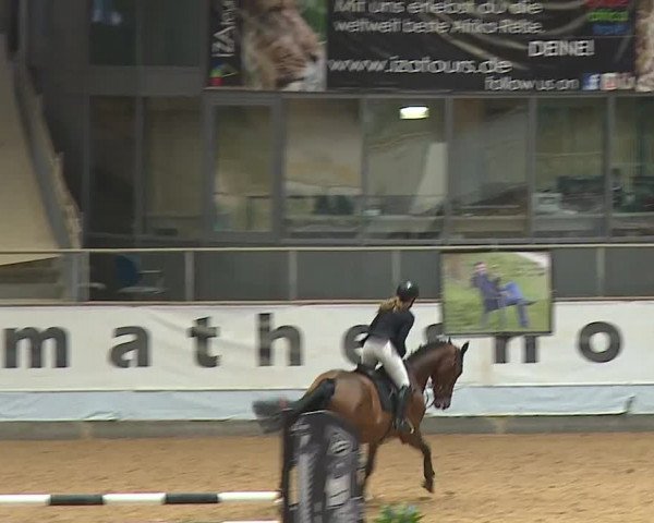 Reitturnier Kreuth/Opf. 2024