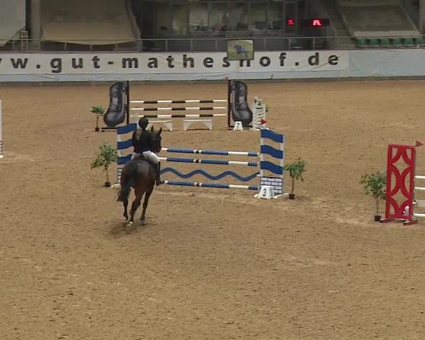Reitturnier Kreuth/Opf. 2024