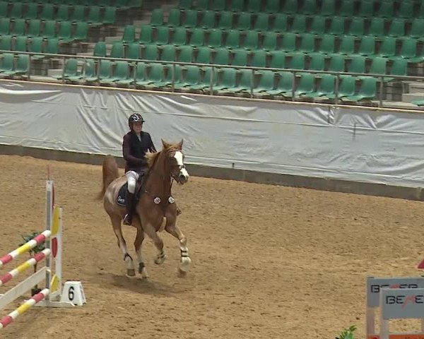 Reitturnier Kreuth/Opf. 2024