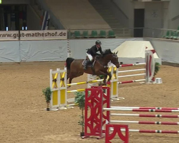 Reitturnier Kreuth/Opf. 2024
