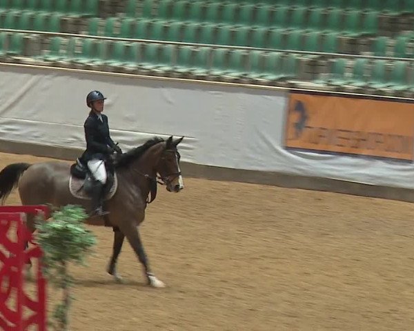 Reitturnier Kreuth/Opf. 2024