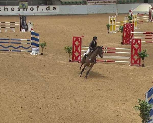 Reitturnier Kreuth/Opf. 2024