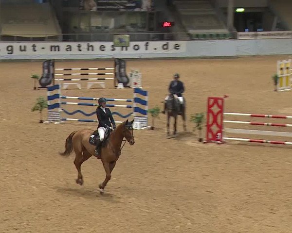 Reitturnier Kreuth/Opf. 2024