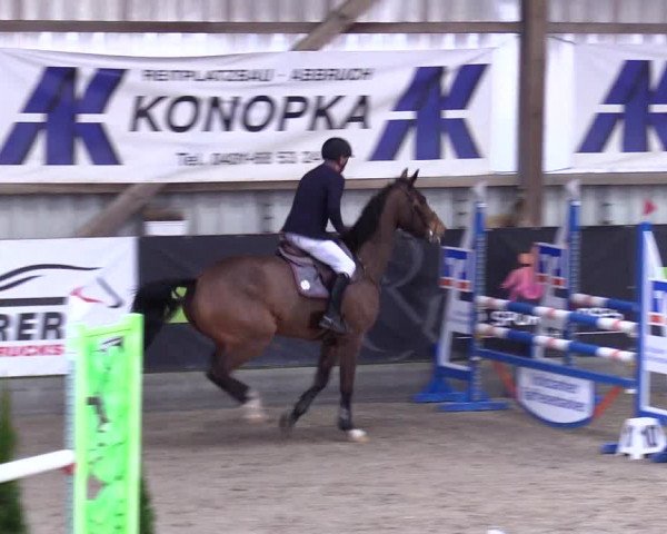 5. Nordic Jumping event Negernbötel 2024