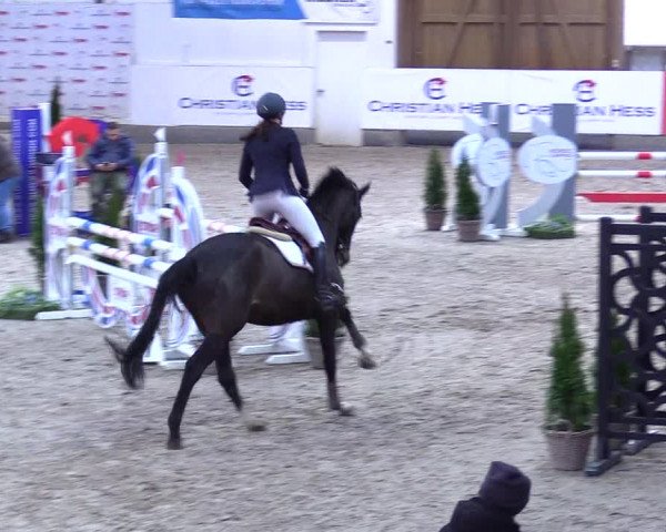 5. Nordic Jumping event Negernbötel 2024