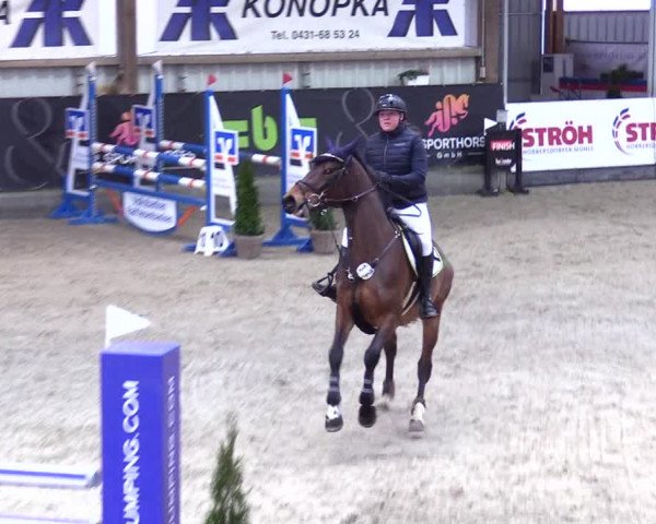 5. Nordic Jumping event Negernbötel 2024