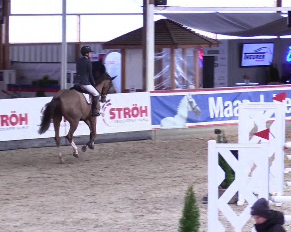 5. Nordic Jumping event Negernbötel 2024
