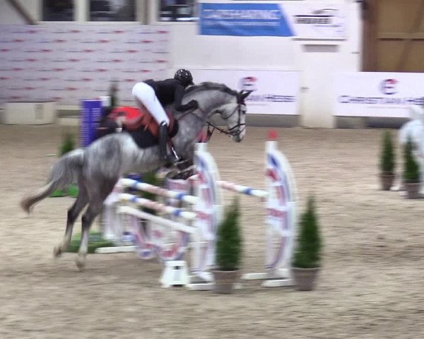 5. Nordic Jumping event Negernbötel 2024