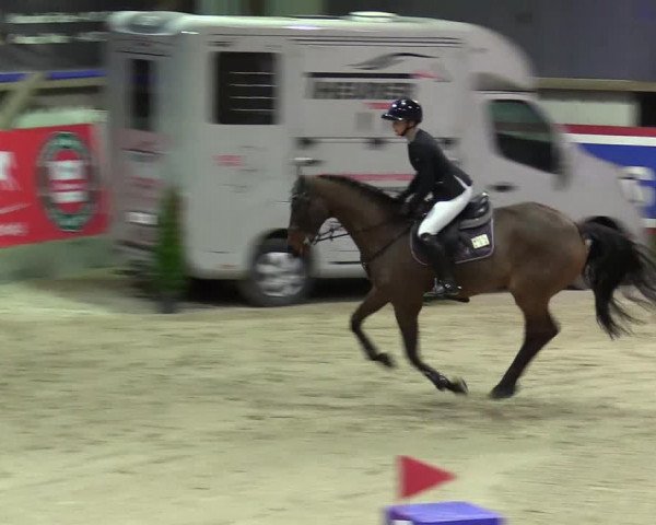 5. Nordic Jumping event Negernbötel 2024