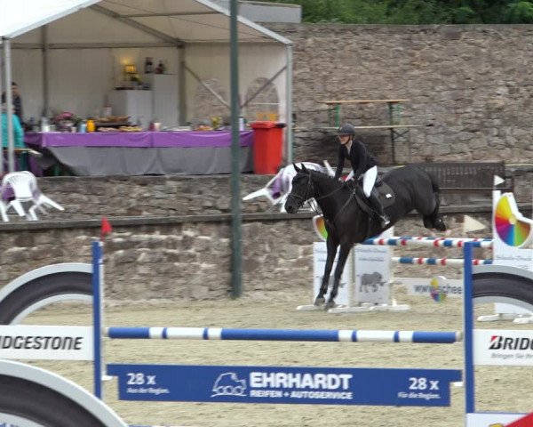 Erntedank Springturnier Nörten-Hardenberg 2021