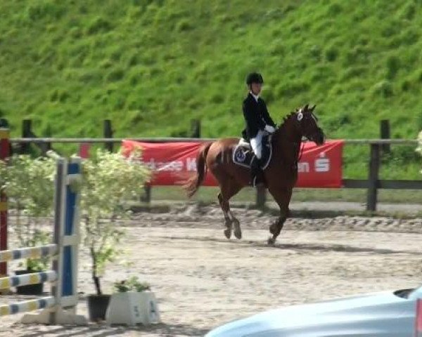 Reitturnier Dorsten 2011