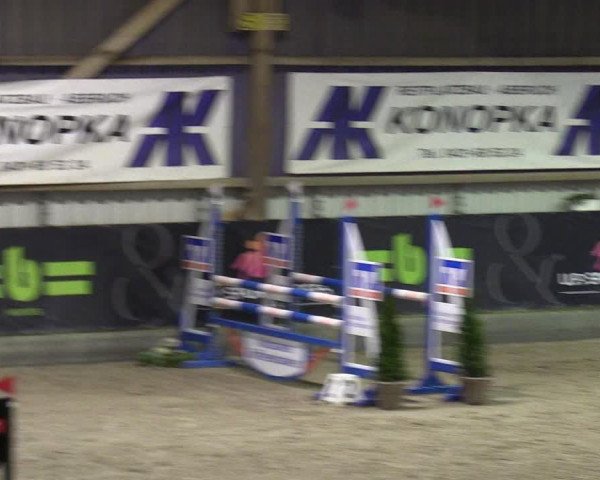5. Nordic Jumping event Negernbötel 2024