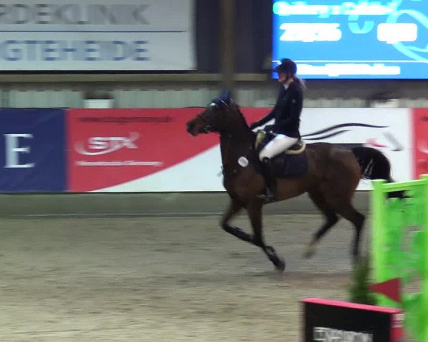 5. Nordic Jumping event Negernbötel 2024
