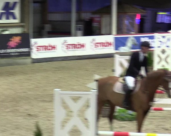 5. Nordic Jumping event Negernbötel 2024