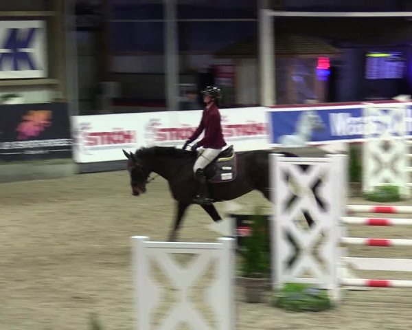 5. Nordic Jumping event Negernbötel 2024