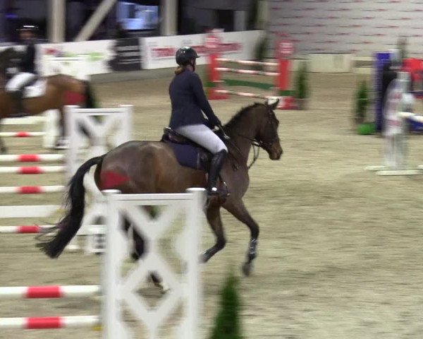 5. Nordic Jumping event Negernbötel 2024