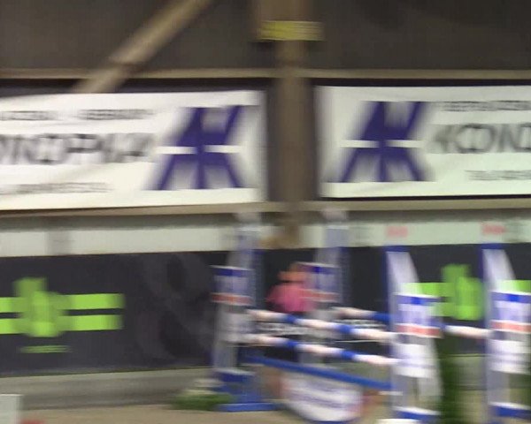 5. Nordic Jumping event Negernbötel 2024