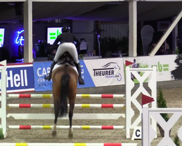 5. Nordic Jumping event Negernbötel 2024