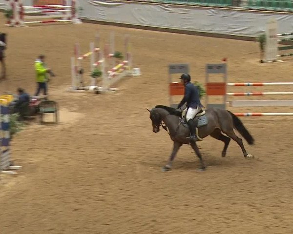 Reitturnier Kreuth/Opf. 2024