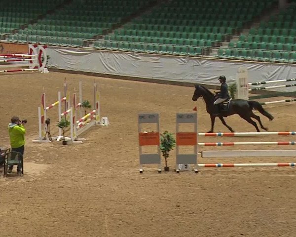 Reitturnier Kreuth/Opf. 2024