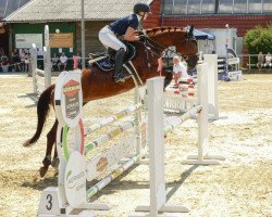 jumper Fiderperle (Hanoverian, 2009, from Fidertanz)