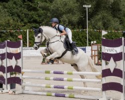 jumper Magic Bubble (Pony without race description, 2016, from Mr.bubble)