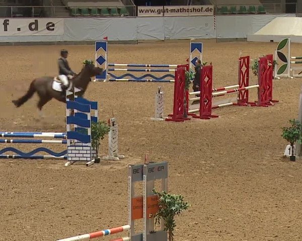 Reitturnier Kreuth/Opf. 2024