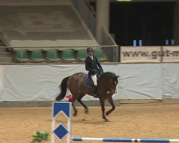 Reitturnier Kreuth/Opf. 2024