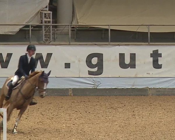 Reitturnier Kreuth/Opf. 2024