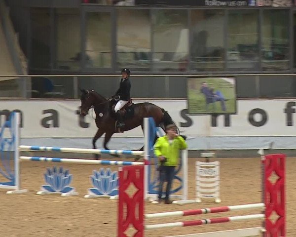Reitturnier Kreuth/Opf. 2024