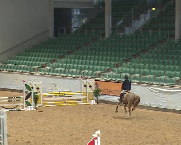 Reitturnier Kreuth/Opf. 2024