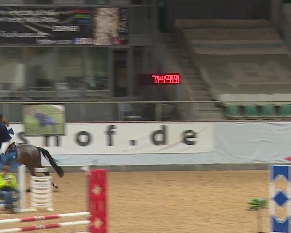 Reitturnier Kreuth/Opf. 2024