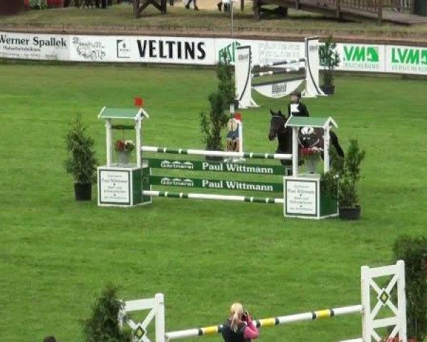 Riesenbeck INTERNATIONAL 2011