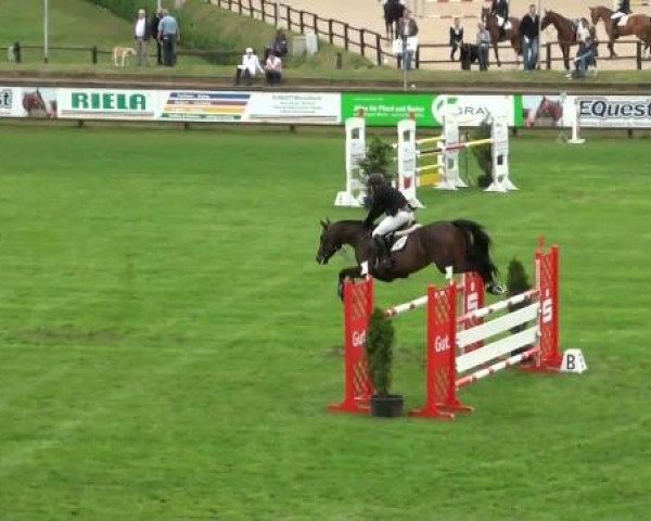 Riesenbeck INTERNATIONAL 2011