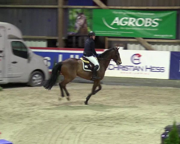 5. Nordic Jumping event Negernbötel 2024