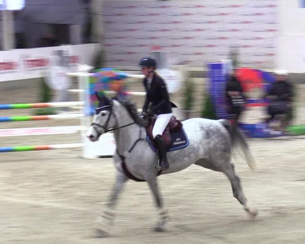 5. Nordic Jumping event Negernbötel 2024