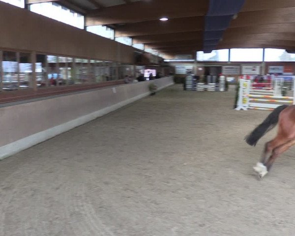 Reitturnier Heiden 2024