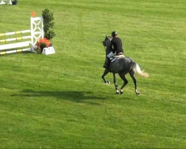 Riesenbeck INTERNATIONAL 2011
