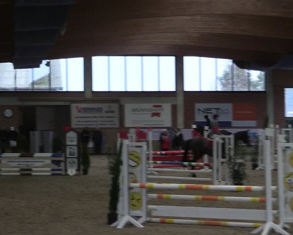 Reitturnier Heiden 2024