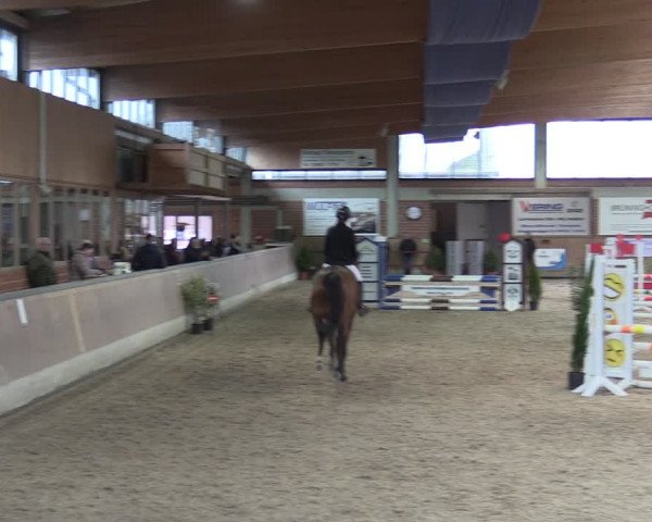 Reitturnier Heiden 2024