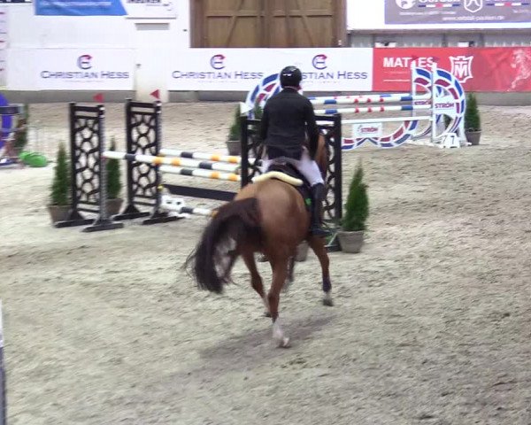 5. Nordic Jumping event Negernbötel 2024