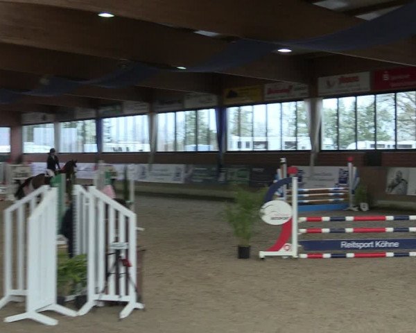 Reitturnier Heiden 2024